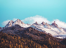 开云体育官网-bob半岛体育官网:开启您的极致体育体验